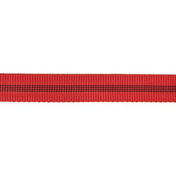 Picture of TENDON TUBULAR TAPE 25MM